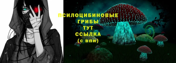 ПСИЛОЦИБИНОВЫЕ ГРИБЫ Магас