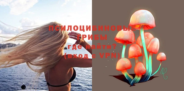 сатива Алзамай